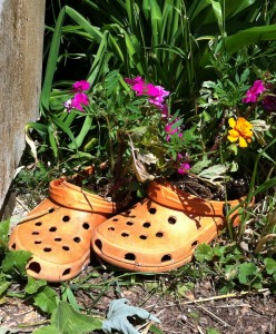 Flower garden planted in old shoes